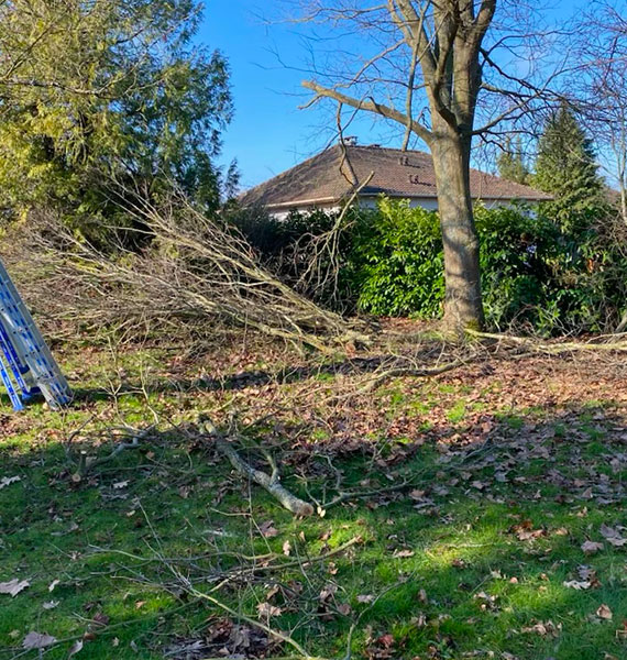 Nos réalisations  à Limetz-Villez dans les Yvelines